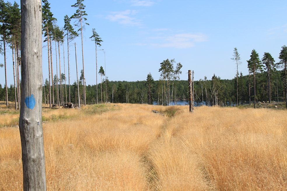 Turgruppa arr Kveldstur Holvannet rundt